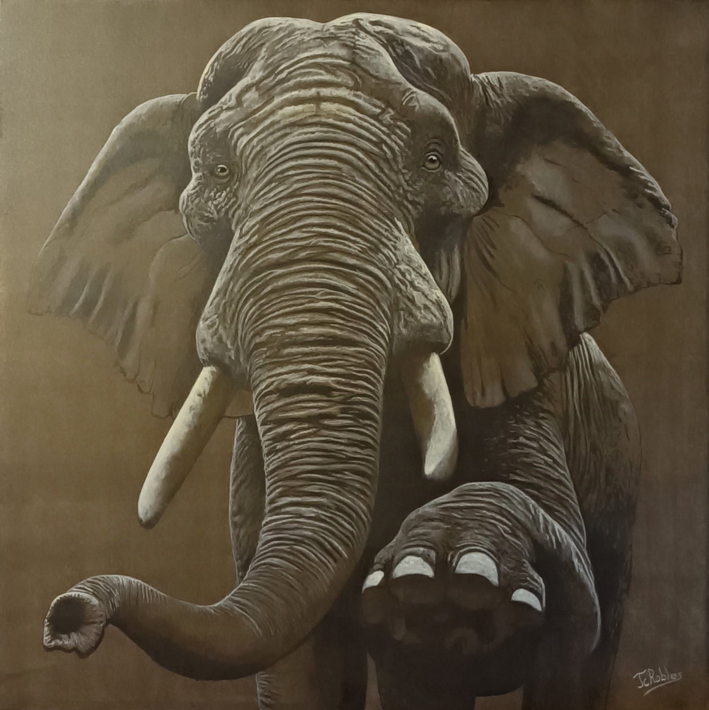 1DA - Le vieil éléphant