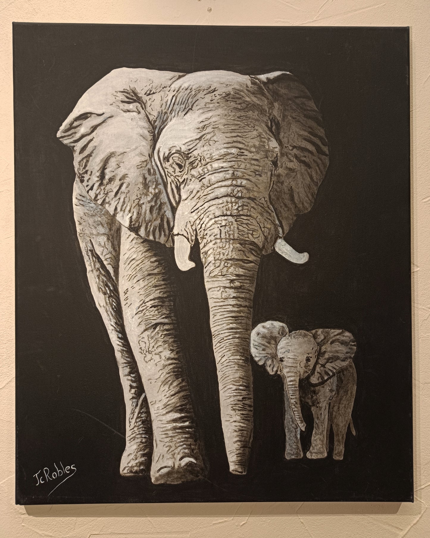 Éléphant et éléphanteau en balade...