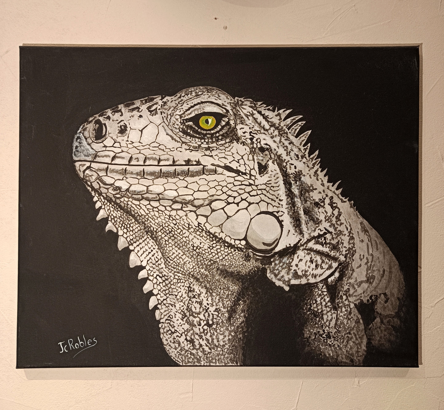 Iguane surpris la nuit…