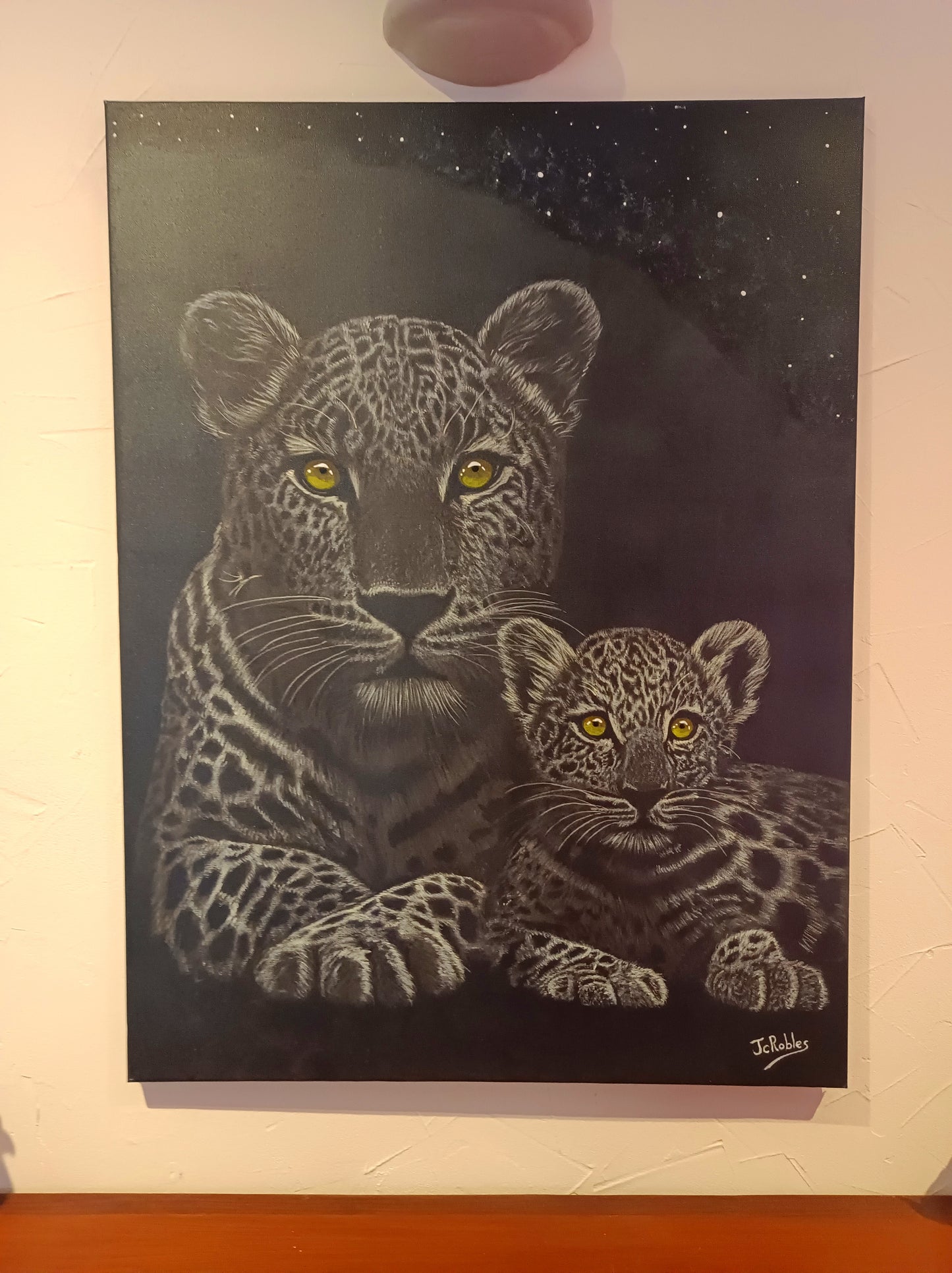 Un léopard et son petit