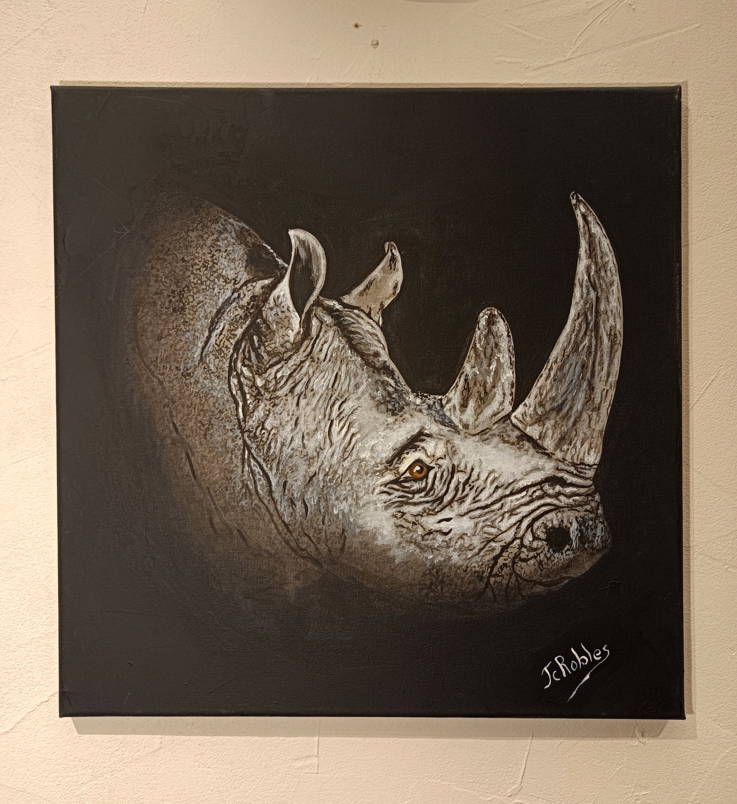Rhinocéros, comme photographié de nuit.