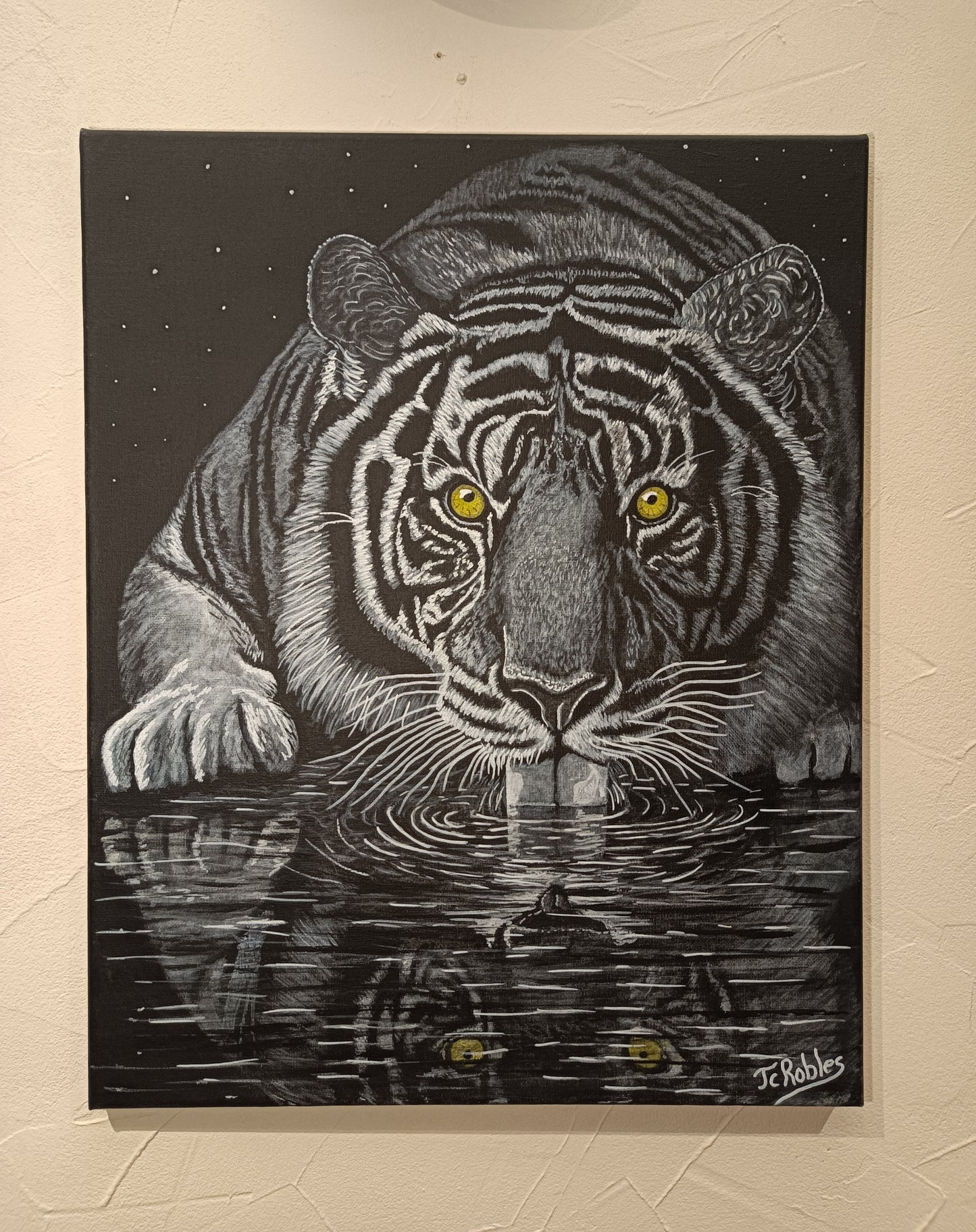 Tigre buvant dans la rivière