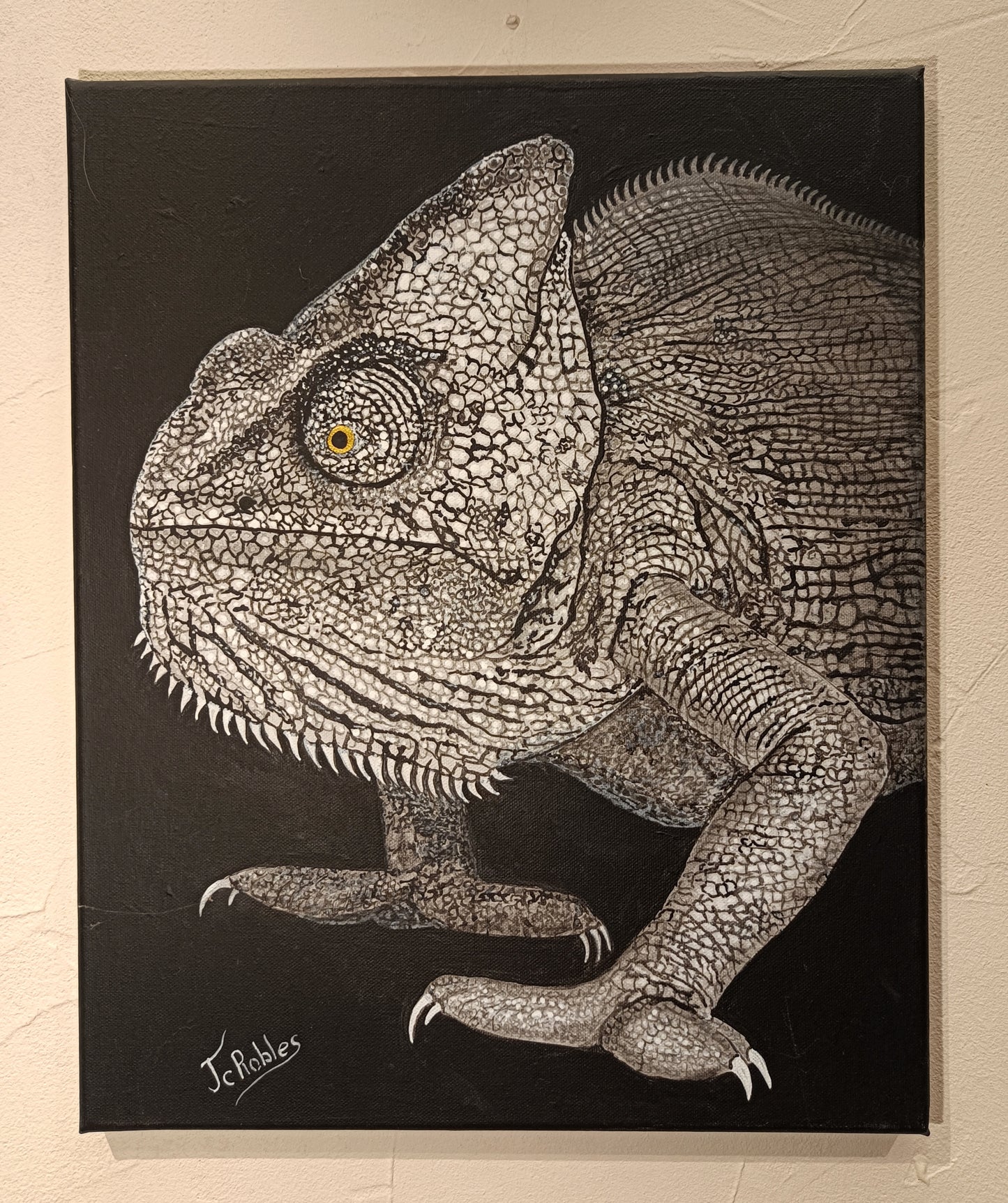 Caméléon aux yeux perçants.