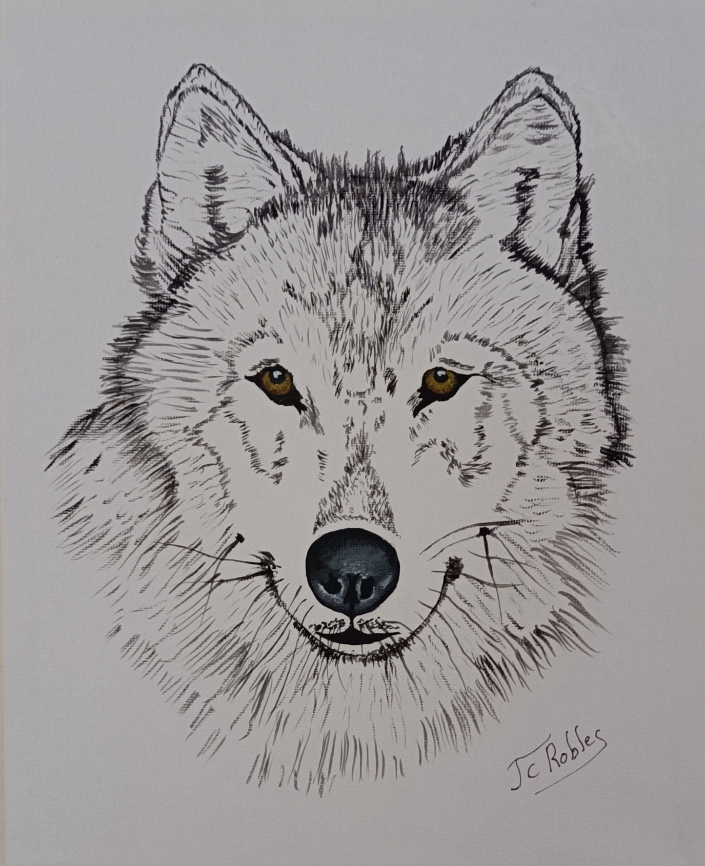 Portrait de Loup