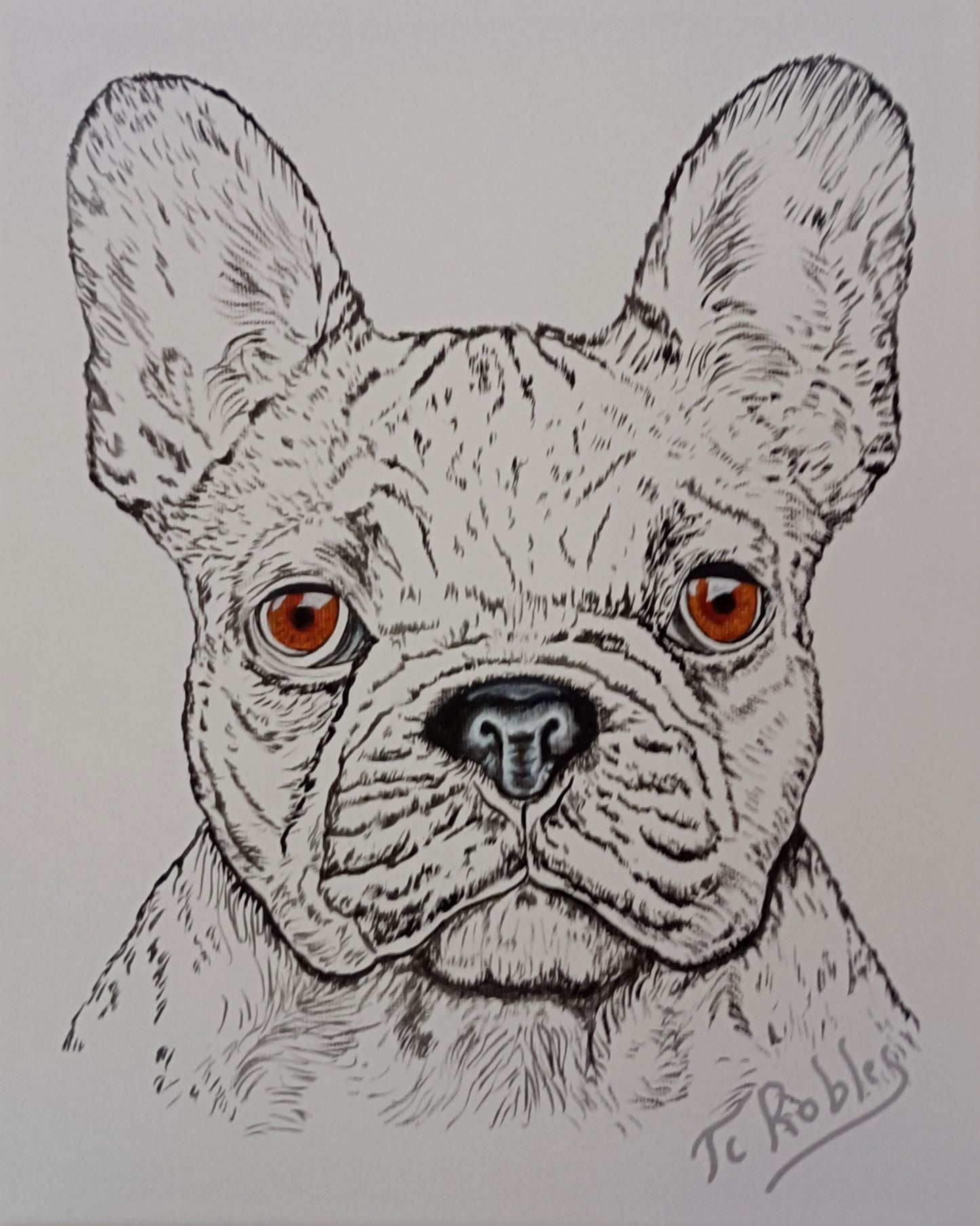 Portrait de Bouledogue