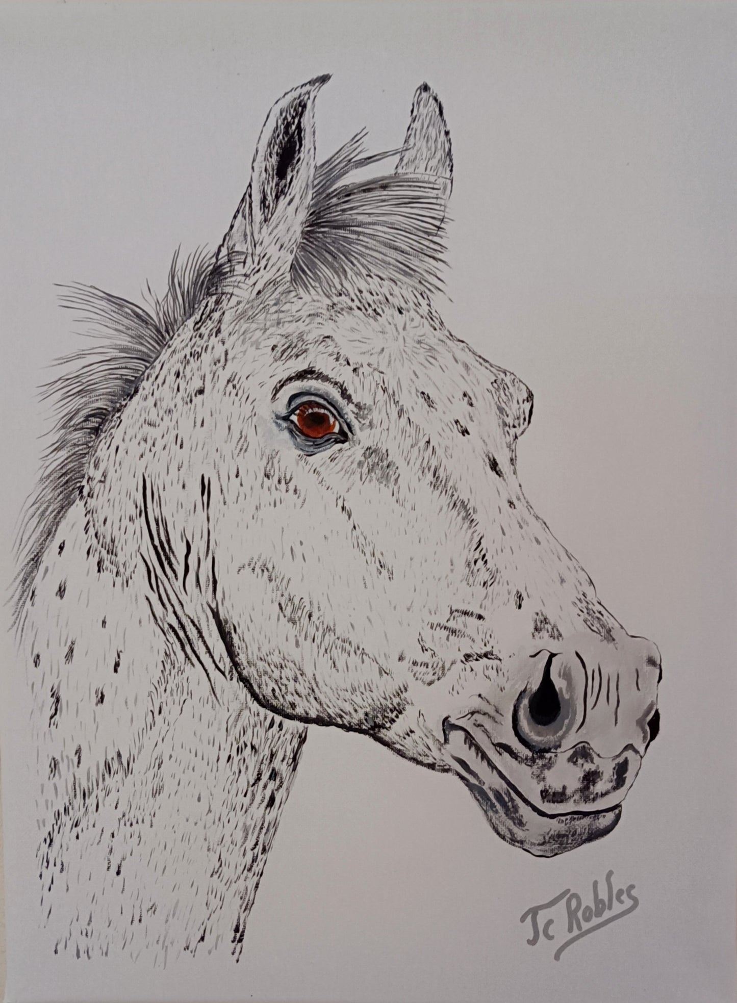 Portrait de Cheval