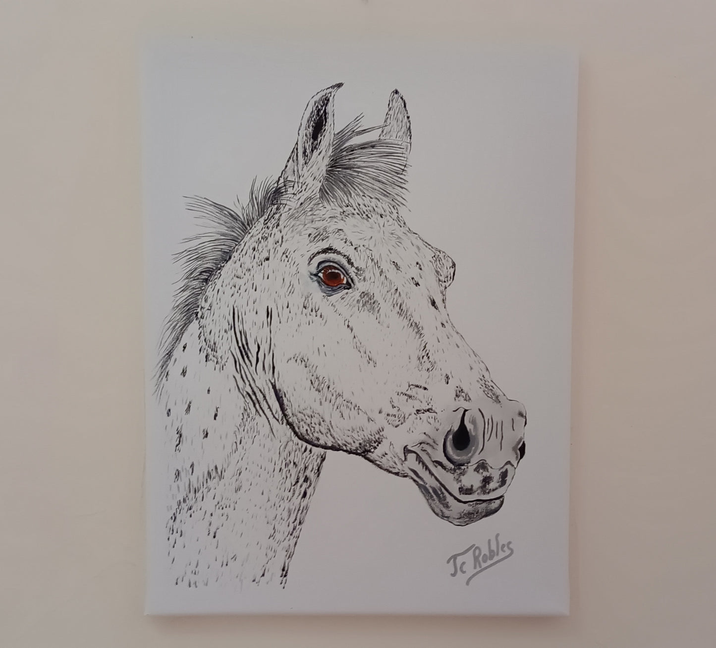 Portrait de Cheval