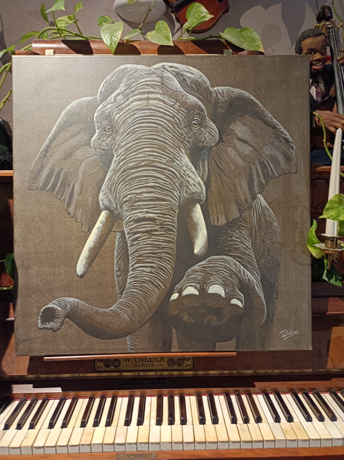 Le vieil éléphant