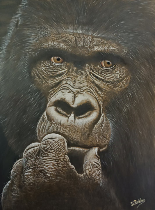 1ABE - Le gorille ému devant une œuvre d'art