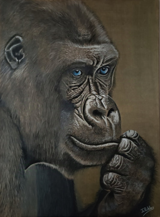 1ABD - Le gorille aux yeux bleus