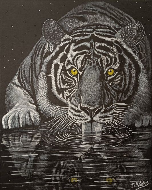 Tigre buvant dans la rivière