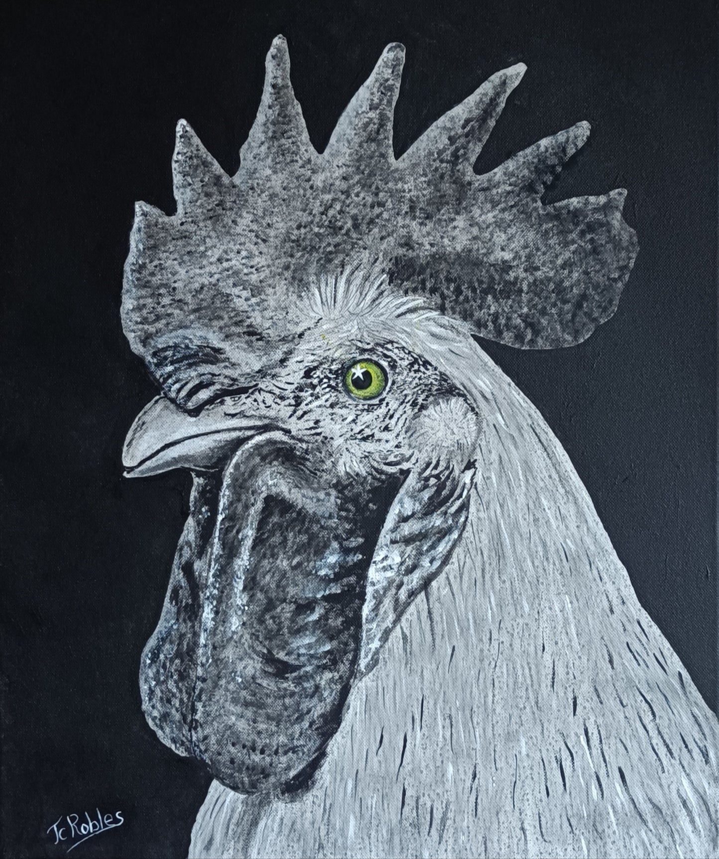 1B - Portrait de coq très réaliste.