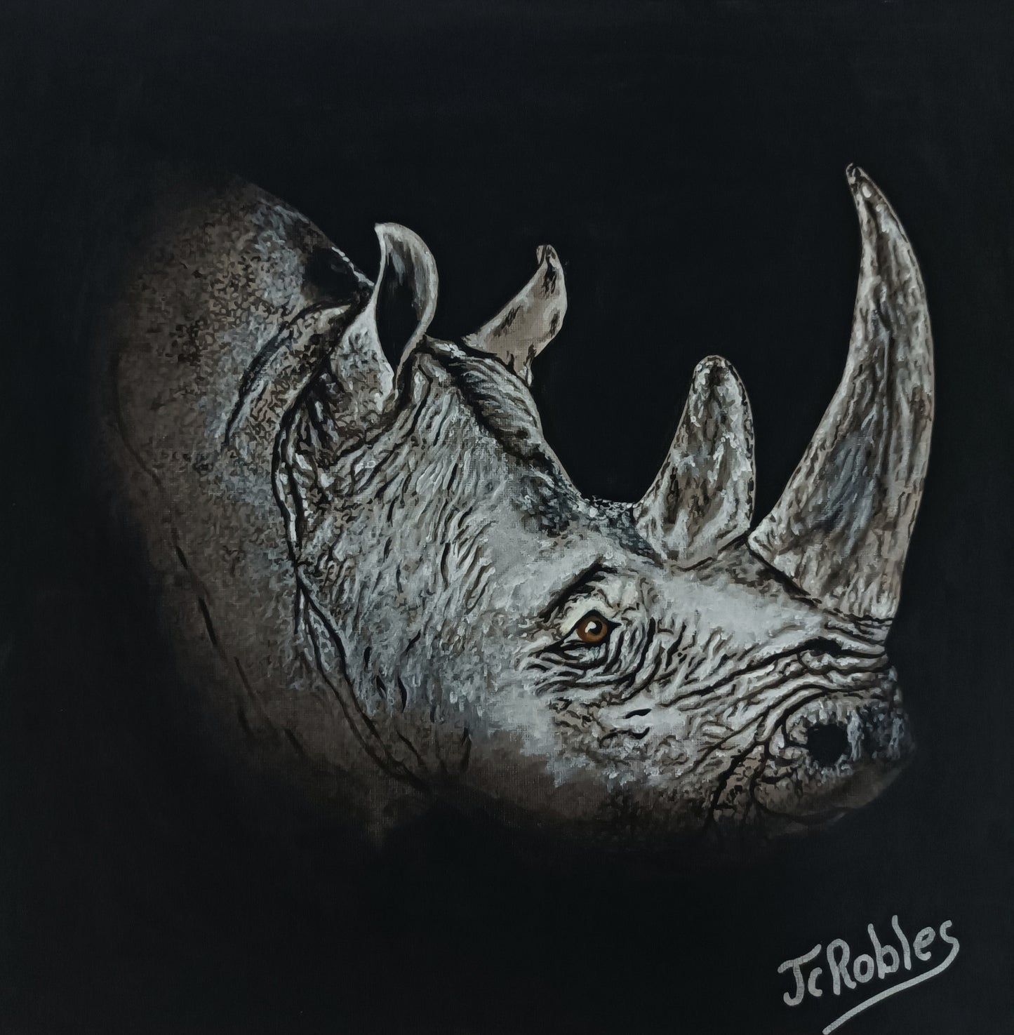 1O - Rhinocéros, comme photographié de nuit.